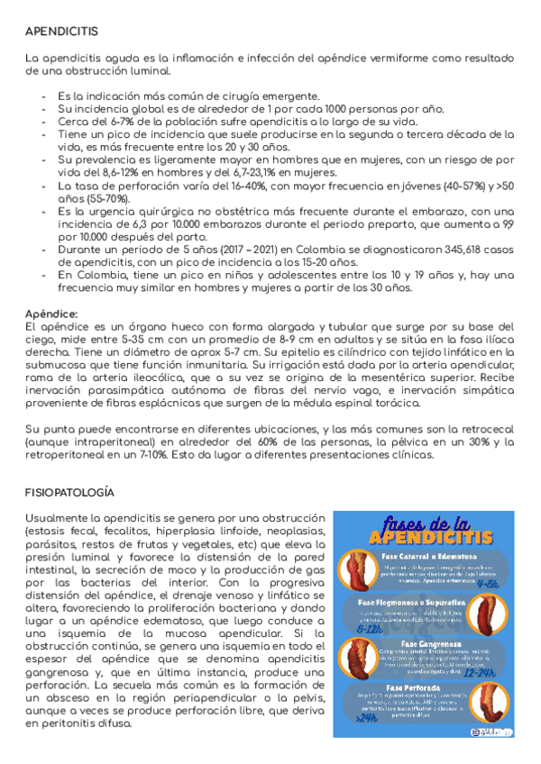 Miniatura del documento Apendicitis.pdf