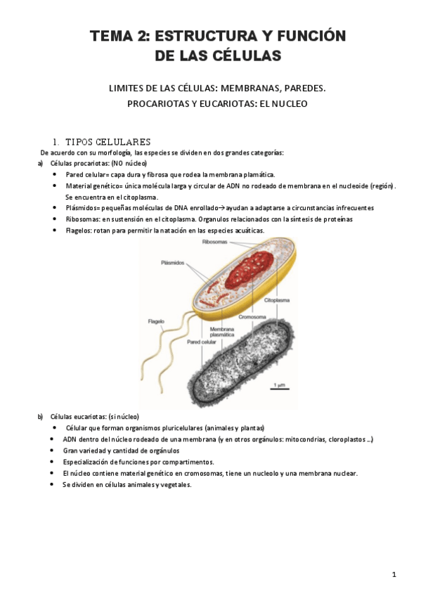 Miniatura del documento Tema-2.pdf