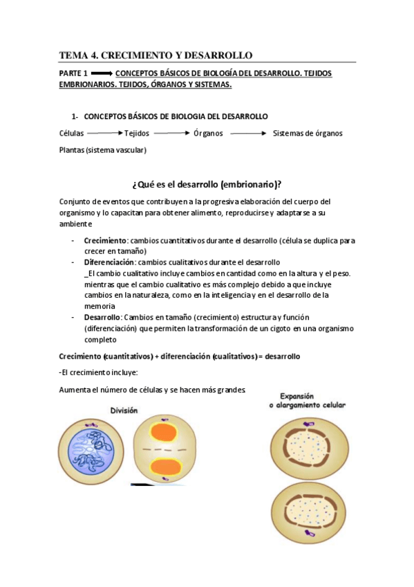 Miniatura del documento Tema-4.pdf