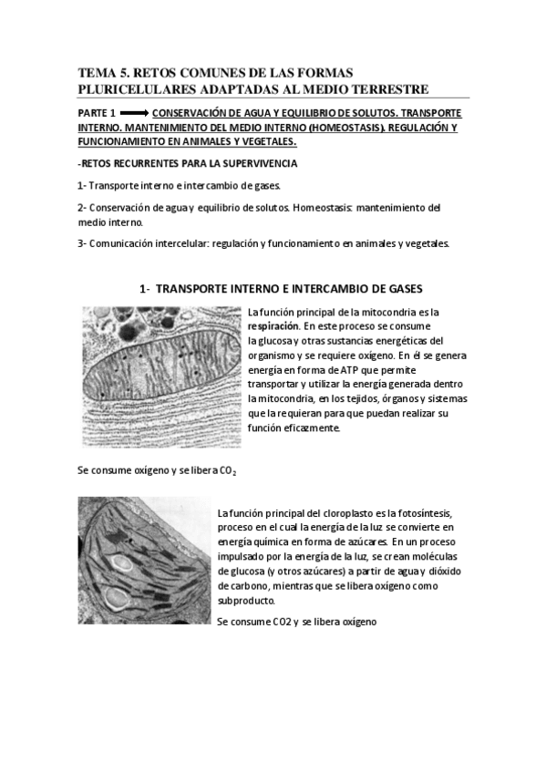 Miniatura del documento Tema-5.pdf