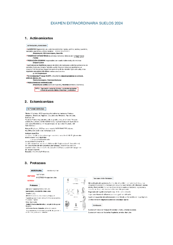 Miniatura del documento EXAMEN-EXTRAORDINARIA-SUELOS-2024.pdf