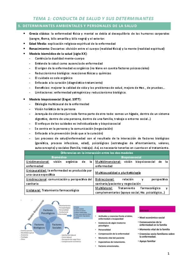 Miniatura del documento Tema-1.-Conducta-de-salud-y-sus-determinantes.pdf