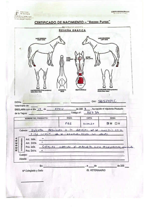 Miniatura del documento Practica-Reseña-Caballo.pdf