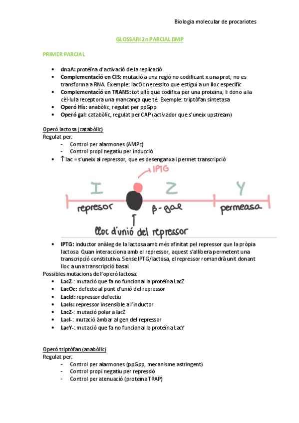 Miniatura del documento GLOSSARI-2n-PARCIAL-BMP.pdf