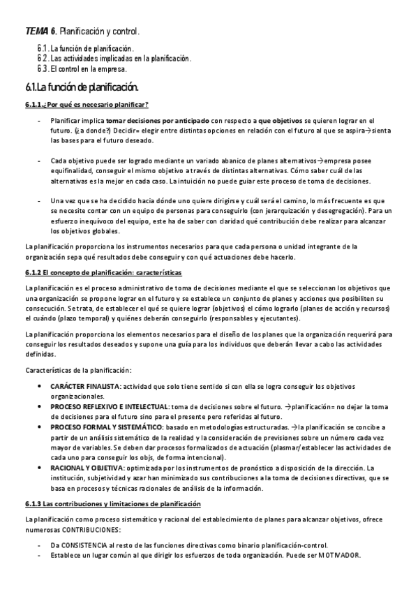 Miniatura del documento TEMA-6.-Planificacion-y-control.pdf