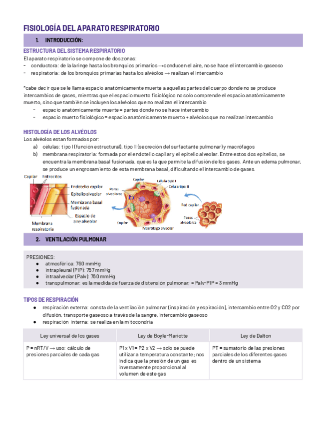 Miniatura del documento FISIOLOGIA-DEL-APARATO-RESPIRATORIO.pdf