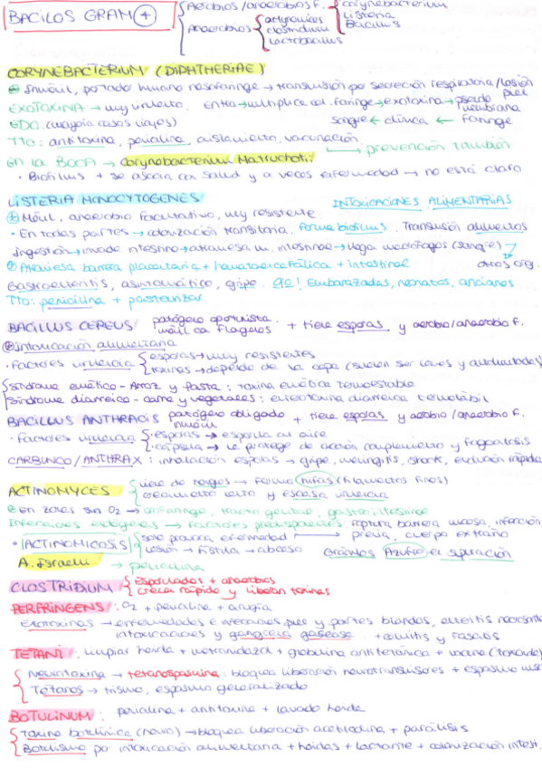 Miniatura del documento BACILOS-GRAM-POSITIVOS.pdf