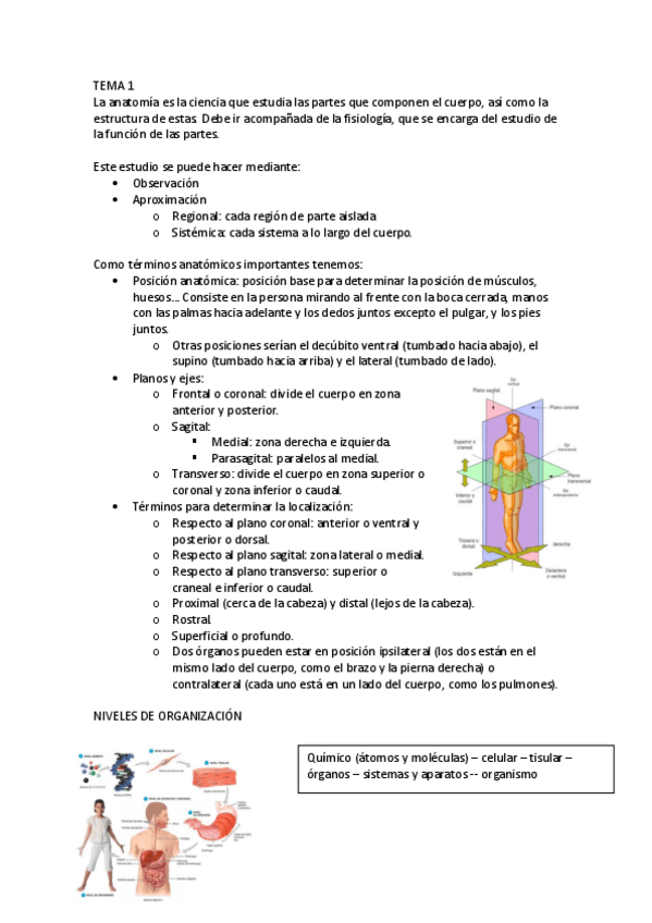 Miniatura del documento TEMA-1.pdf