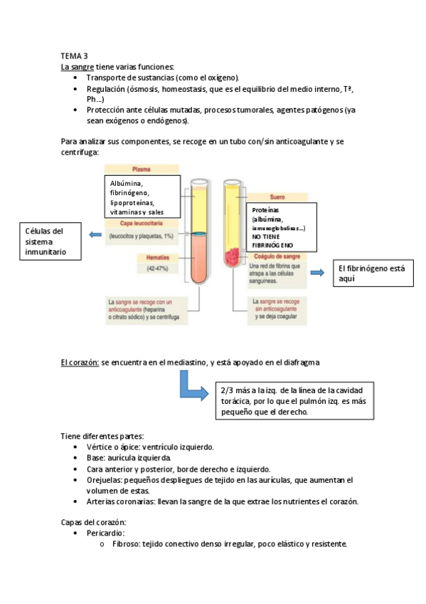Miniatura del documento TEMA-3.pdf