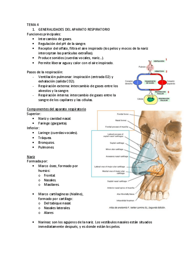 Miniatura del documento TEMA-4.pdf