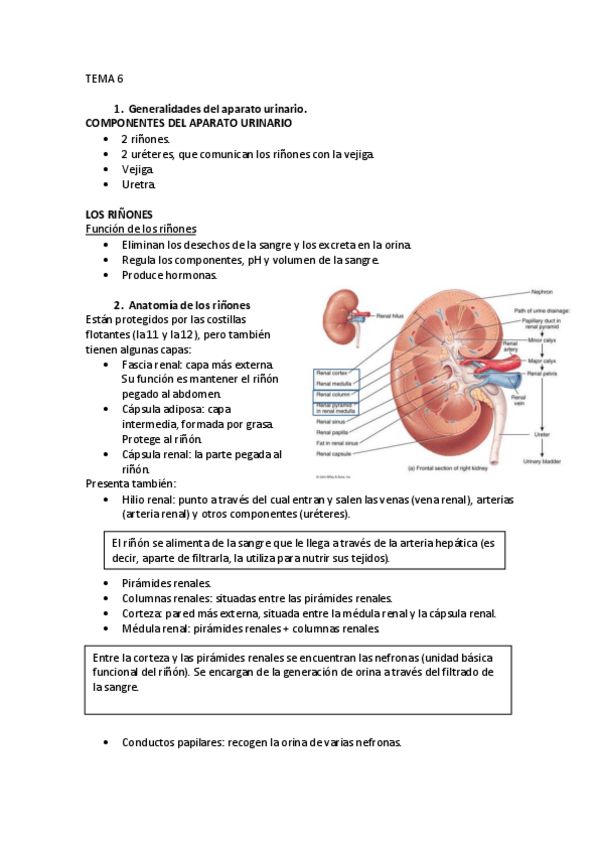 Miniatura del documento TEMA-6.pdf