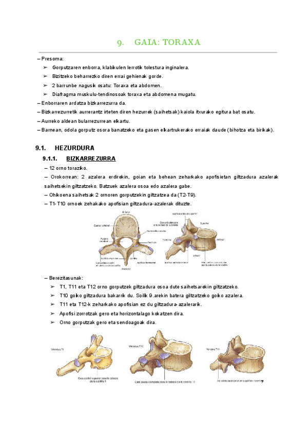 Miniatura del documento 9.-gaia.pdf