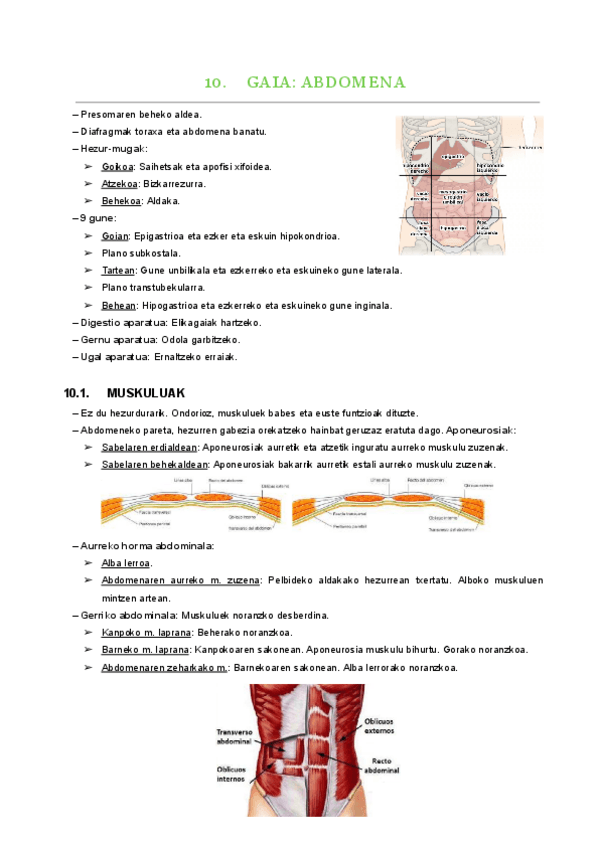 Miniatura del documento 10.-gaia.pdf