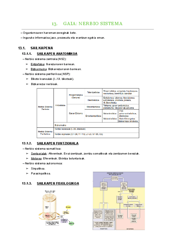 Miniatura del documento 13.-gaia.pdf
