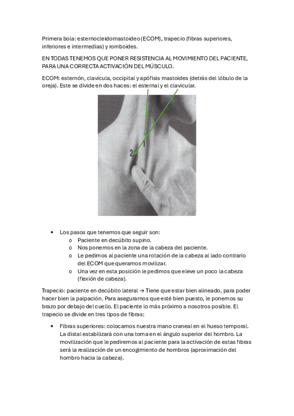 Miniatura del documento Bolas-1-3.pdf