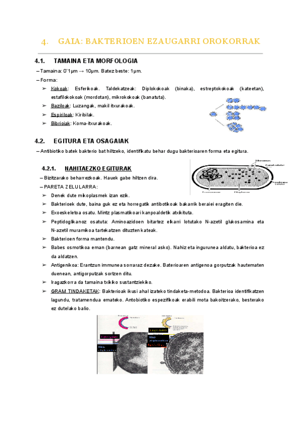 Miniatura del documento 04.-gaia.pdf