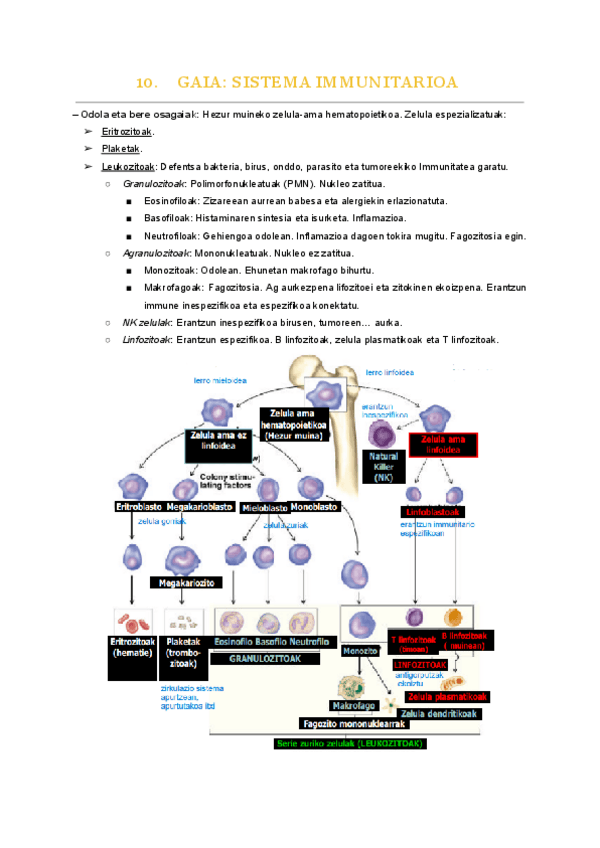 Miniatura del documento 10.-gaia.pdf