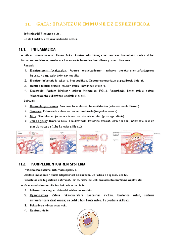 Miniatura del documento 11.-gaia.pdf