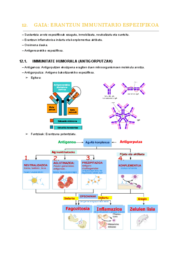 Miniatura del documento 12.-gaia.pdf