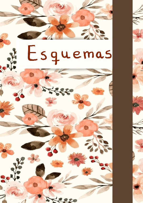 Miniatura del documento Esquemas.pdf