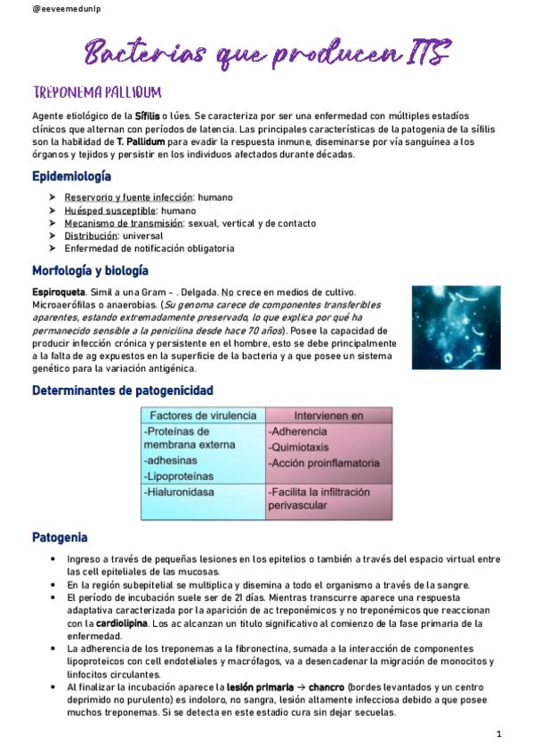 Miniatura del documento Bacterias-que-producen-ITS.pdf