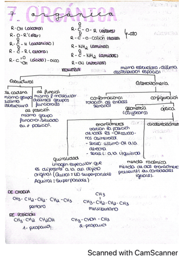 Miniatura del documento Tema-7-Organica.pdf