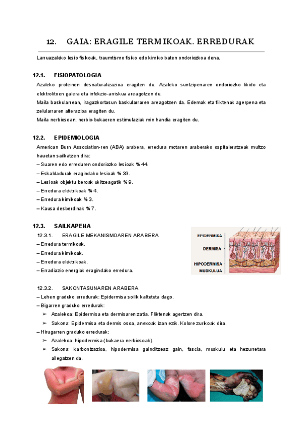 Miniatura del documento 12.-gaia.pdf