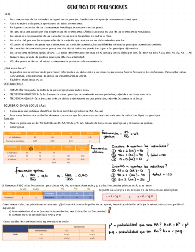 Miniatura del documento T13-genetica-de-poblaciones.pdf