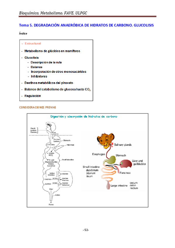 Miniatura del documento 6Metabolismo-2-Temas-5-8.pdf