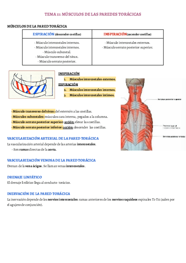 Miniatura del documento TEMA-11.pdf