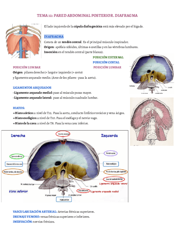 Miniatura del documento TEMA-13.pdf