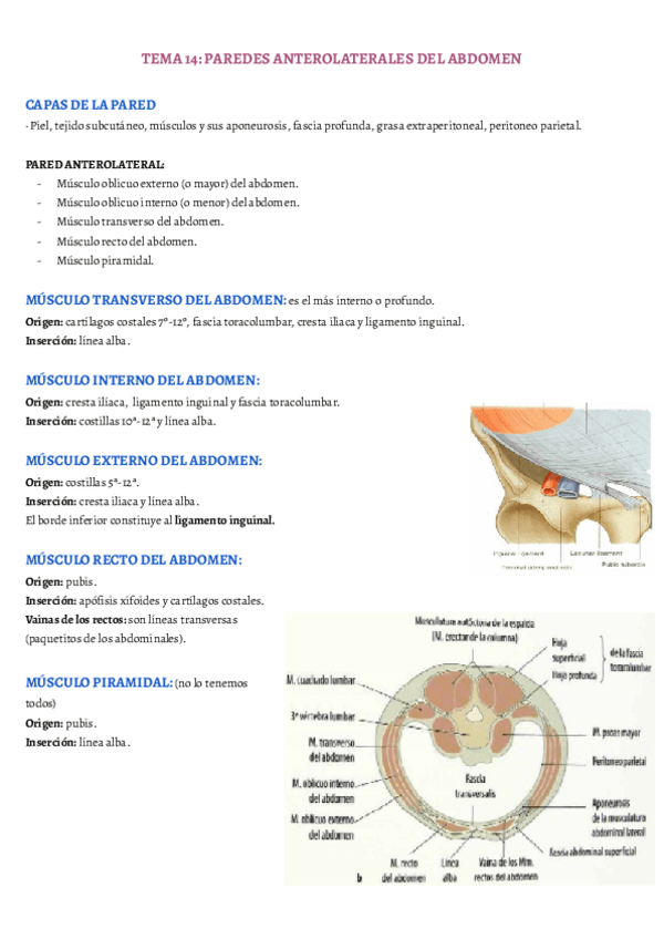 Miniatura del documento TEMA-14.pdf