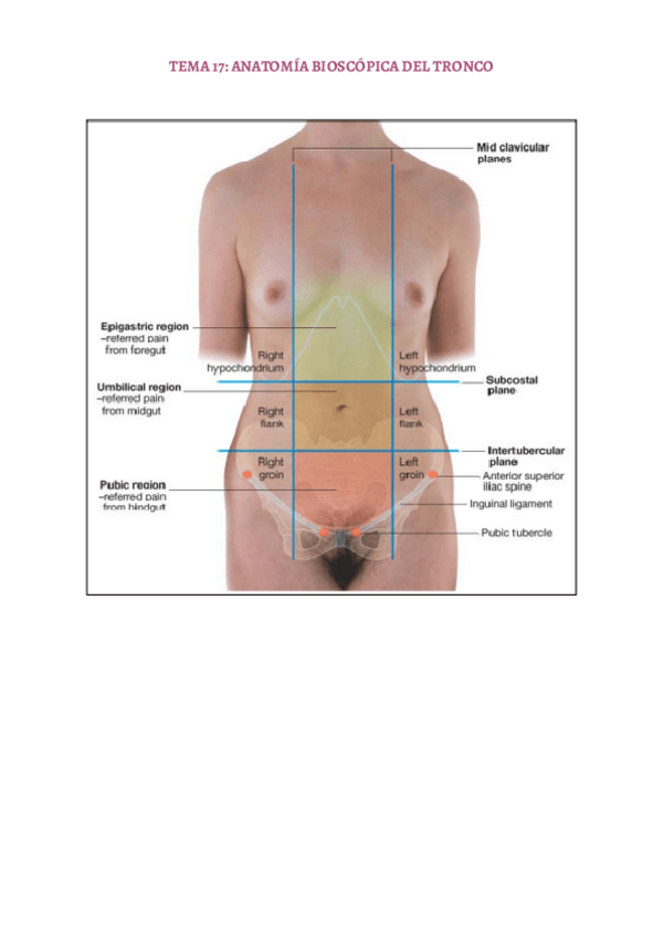 Miniatura del documento TEMA-17.pdf