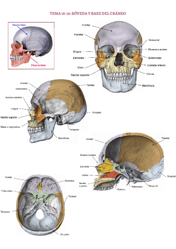 Miniatura del documento TEMA-18-19.pdf