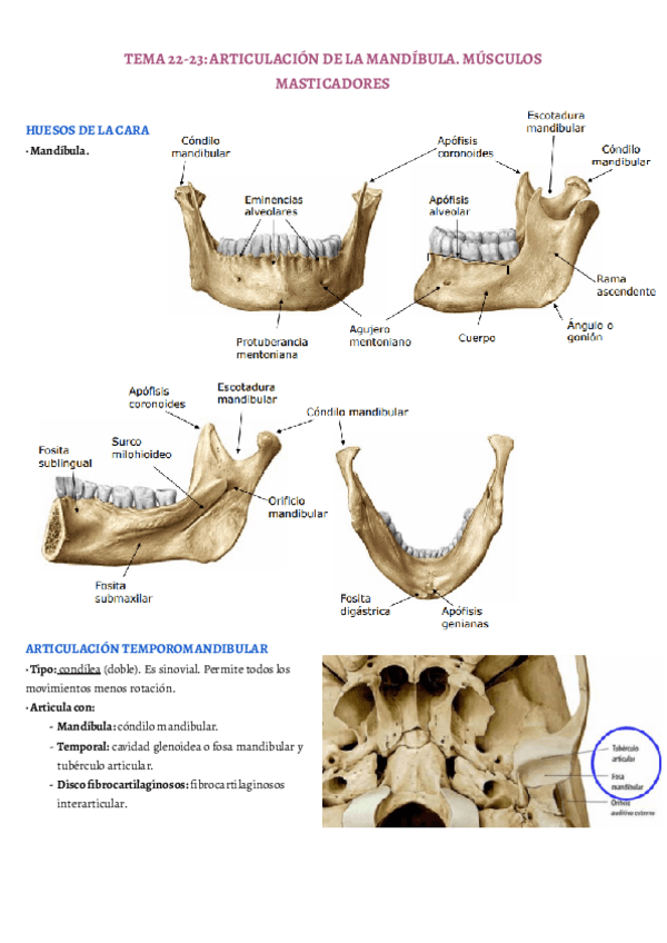 Miniatura del documento TEMA-22-23.pdf