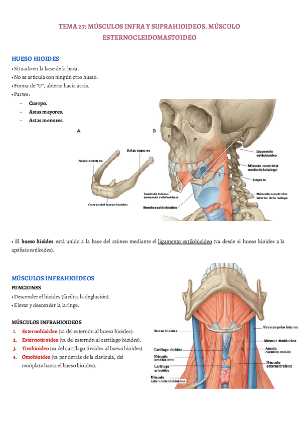 Miniatura del documento TEMA-27.pdf