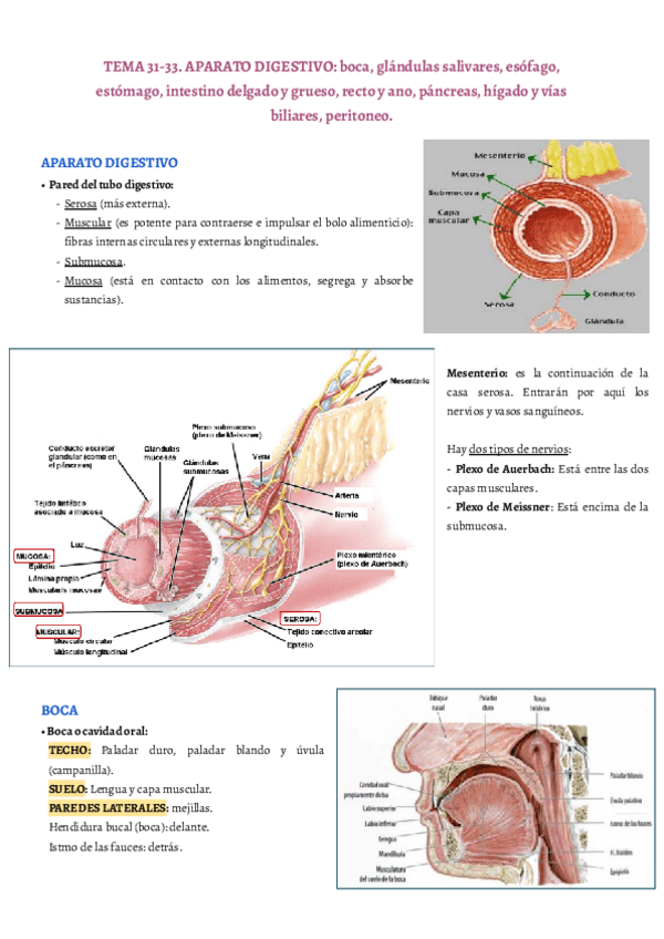 Miniatura del documento TEMA-31-33.pdf