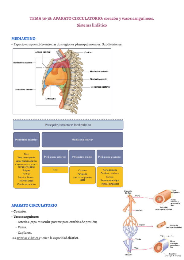 Miniatura del documento TEMA-36-38.pdf