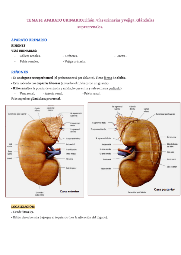Miniatura del documento TEMA-39.pdf