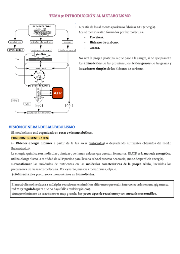 Miniatura del documento TEMA-9.pdf