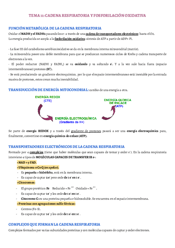 Miniatura del documento TEMA-11.pdf