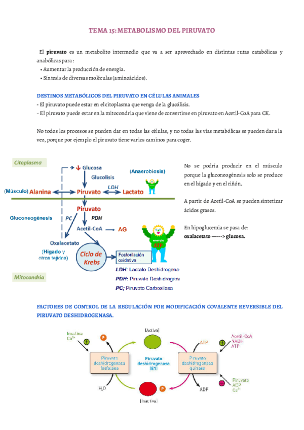 Miniatura del documento TEMA-15.pdf