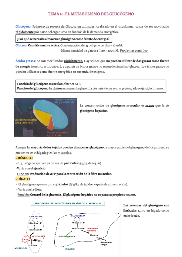 Miniatura del documento TEMA-16-17.pdf