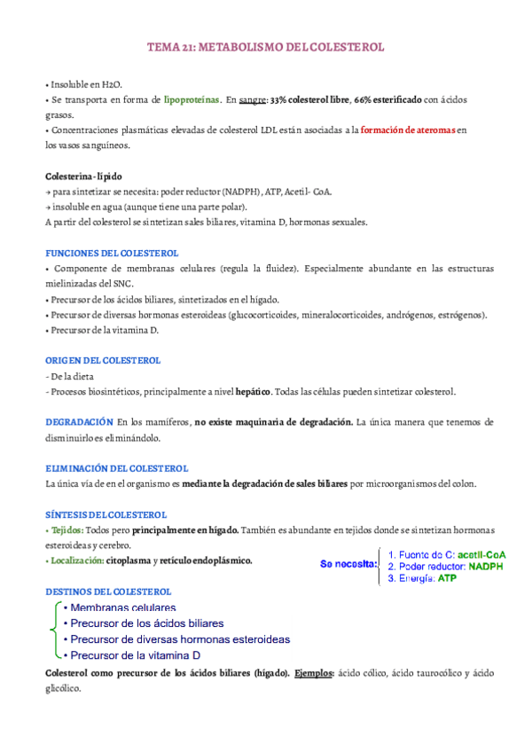 Miniatura del documento TEMA-21.pdf