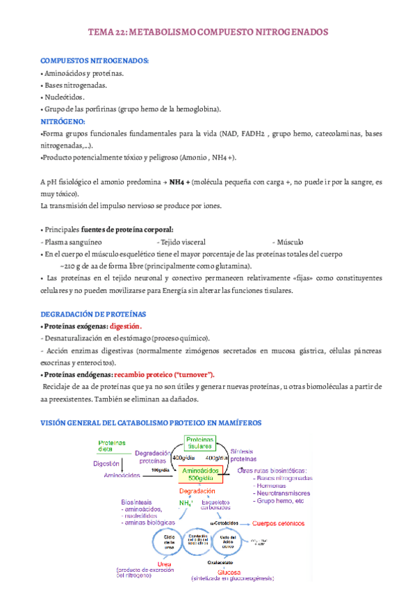 Miniatura del documento TEMA-22.pdf
