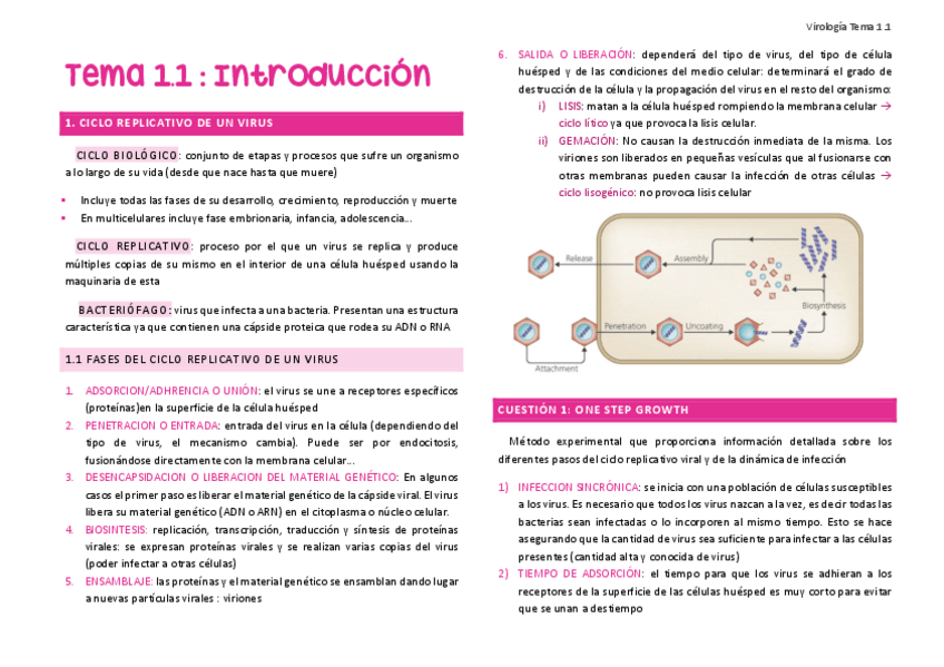 Miniatura del documento Tema-1.1.pdf