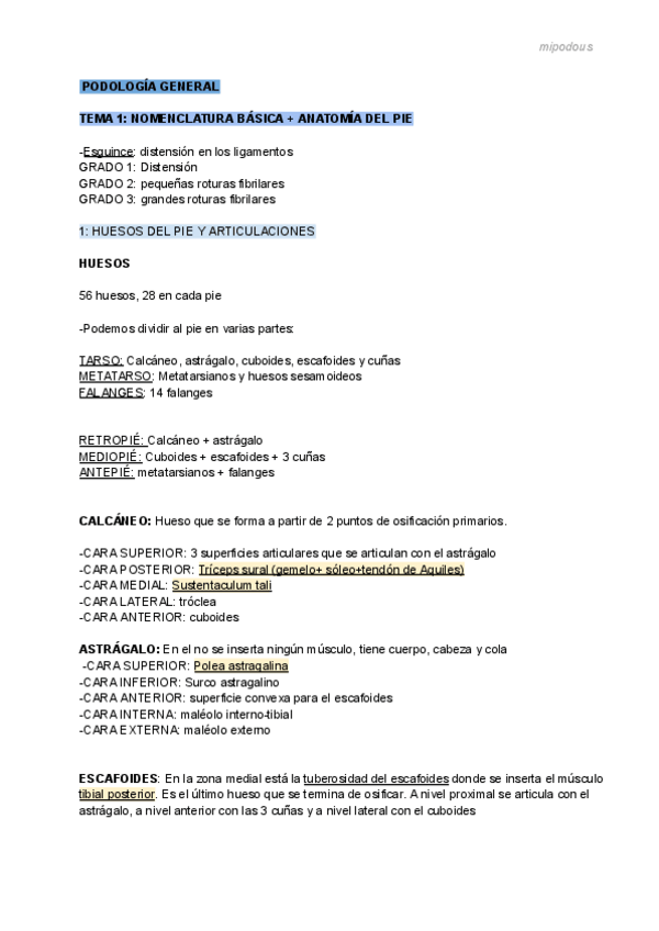 Miniatura del documento APUNTES-PODOLOGIA-GENERAL-COMPLETOS.pdf
