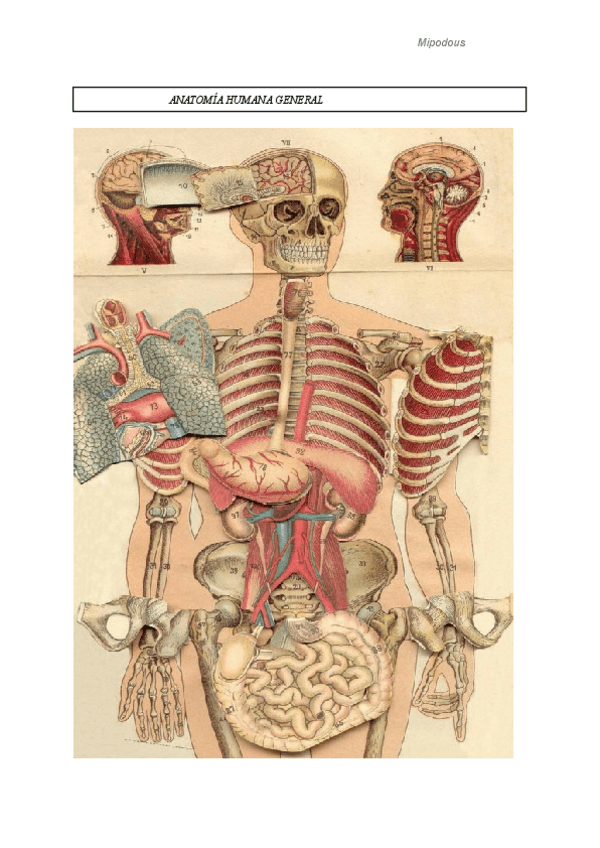 Miniatura del documento CUADERNO-DE-PRACTICAS-AG.pdf