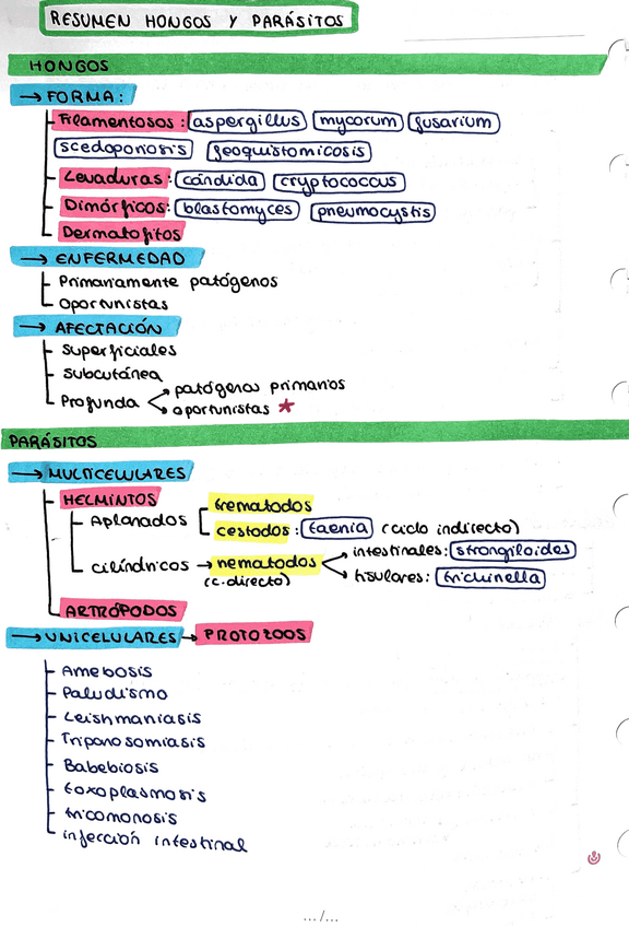 Miniatura del documento Hongos-y-parasitos.pdf