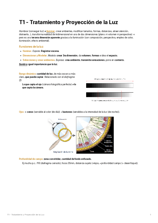 Miniatura del documento T1-Tratamiento y Proyeccion de la Luz.pdf